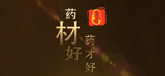 发展愿景