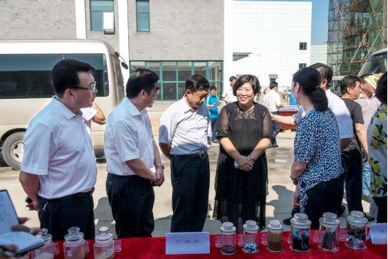 唐山市市长丁绣峰来我公司视察指导